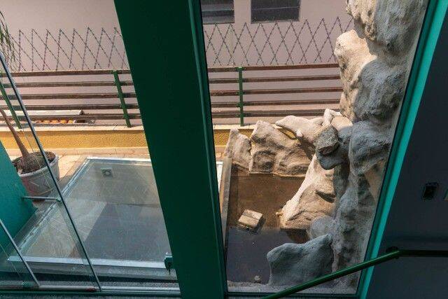 Loja-Salão, 313 m² - Foto 11