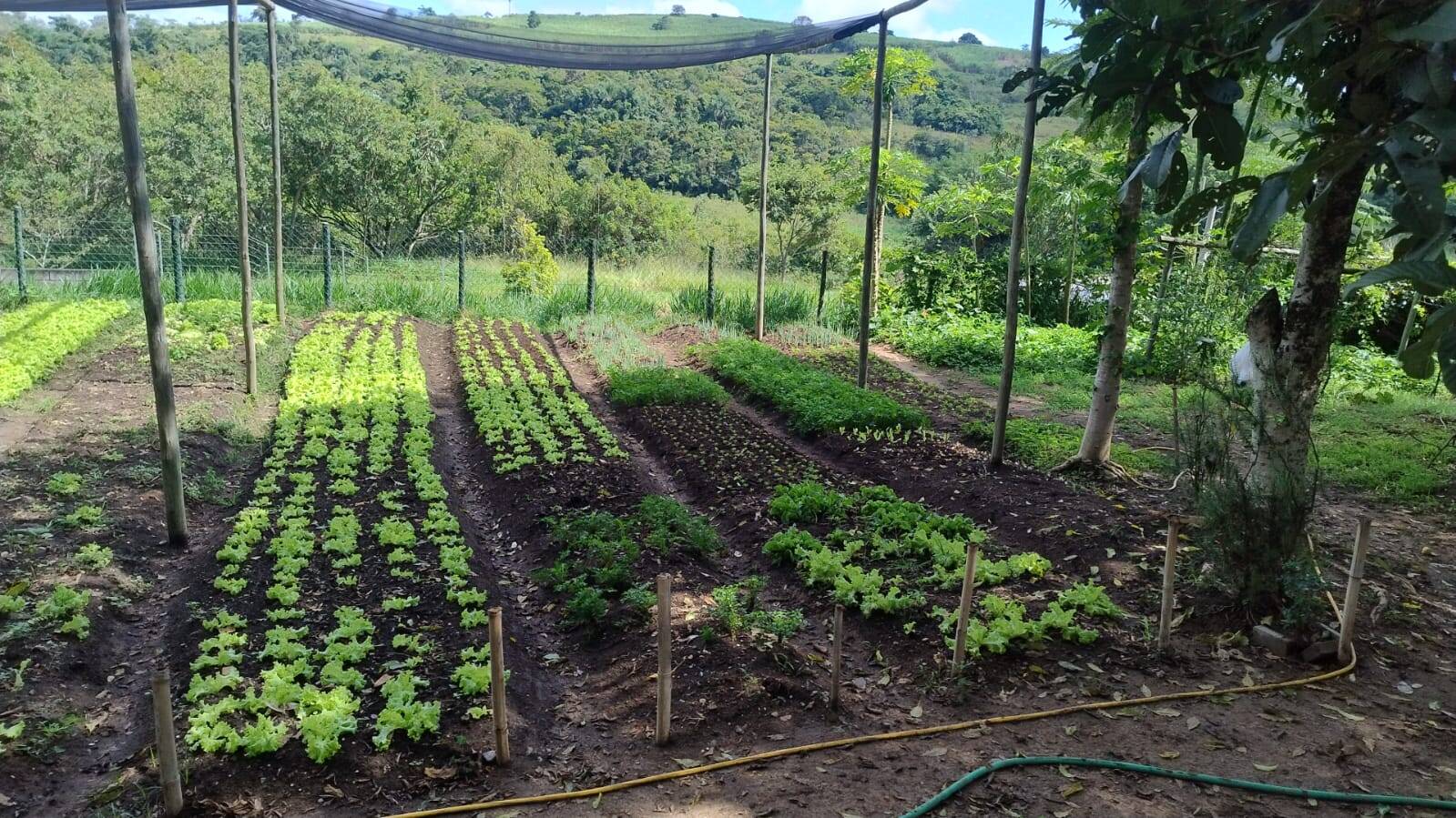 Casa, 4 quartos, 326 m² - Foto 26