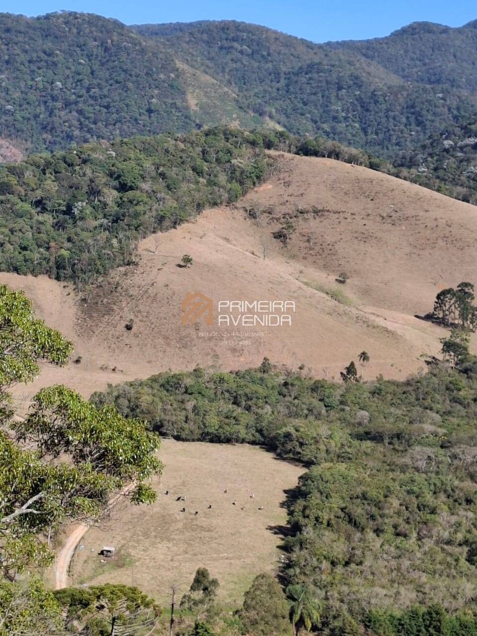 Terreno à venda, 180000m² - Foto 3